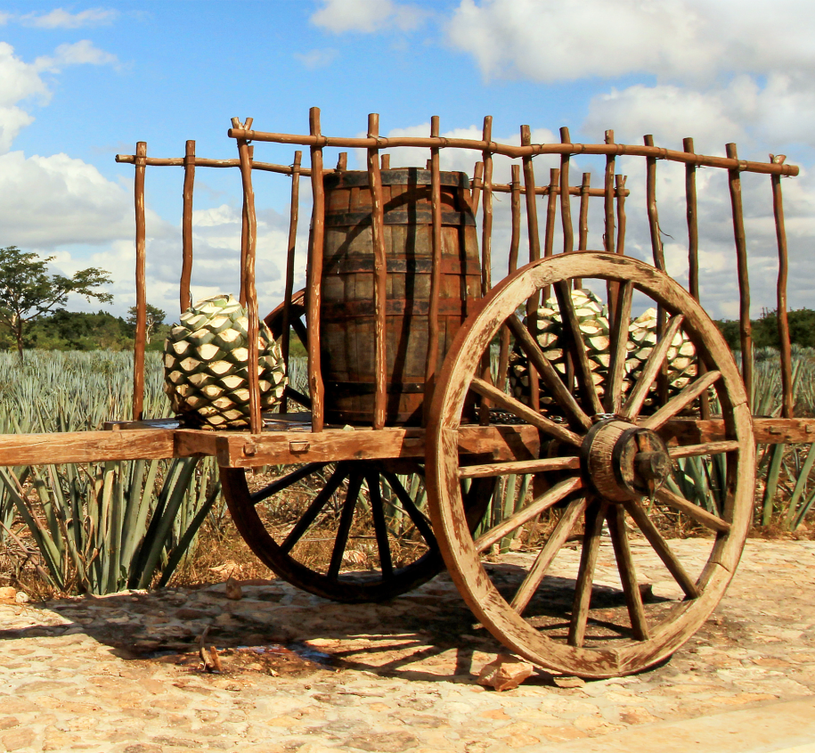 Do you know the difference between Blanco, Reposado, and Añejo